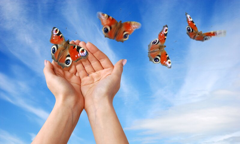 Butterflies Flying from Hands — Blue, Serene, Afternoon