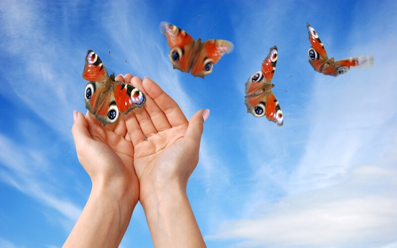Butterflies Flying from Hands — Blue, Serene