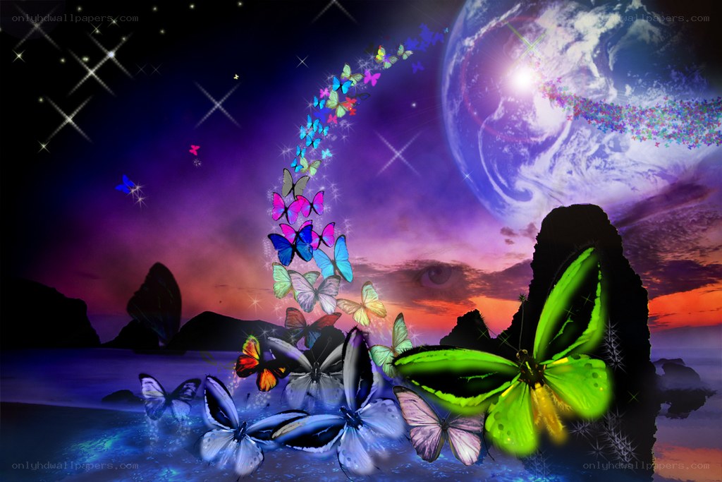 butterflies flying over ocean