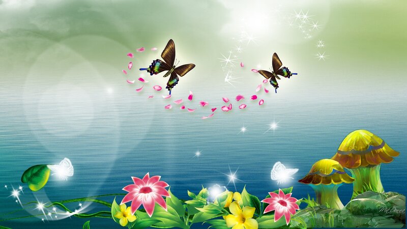 Butterflies Flying over Water