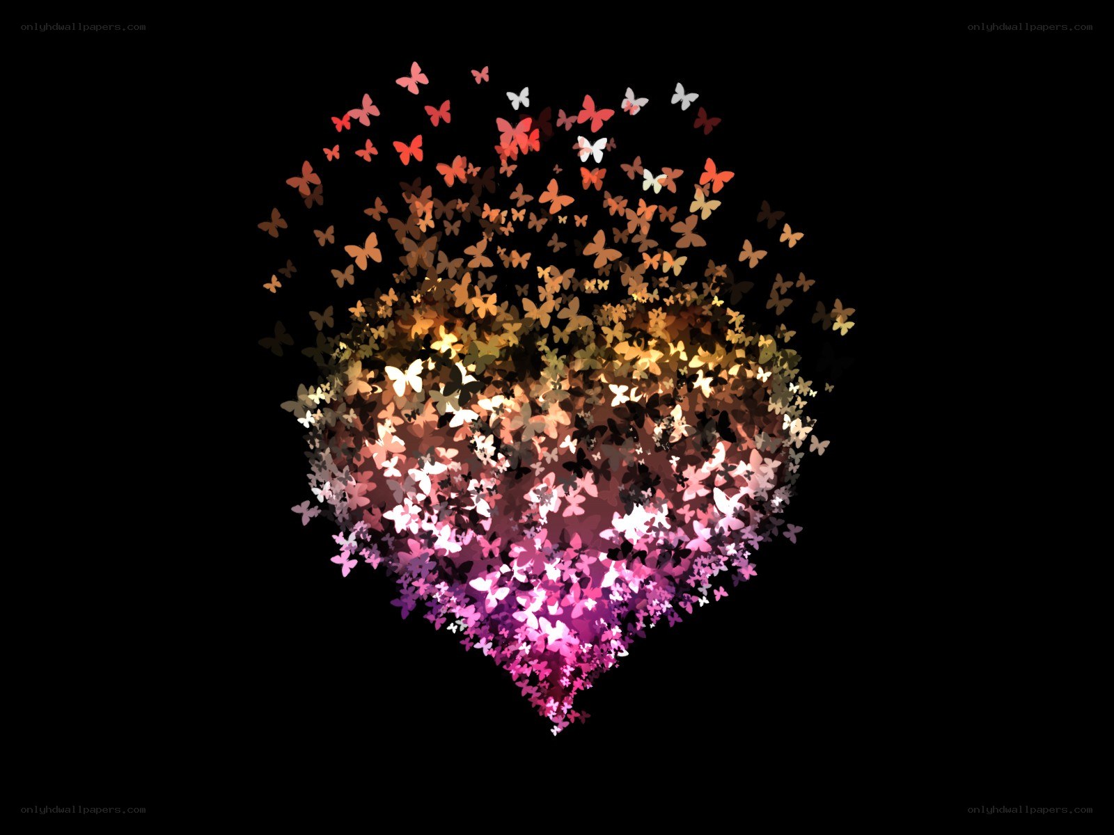 butterflies forming a heart