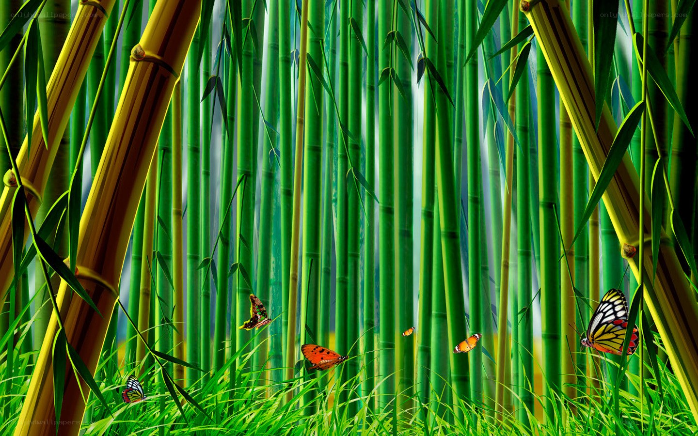 butterflies in a bamboo forest