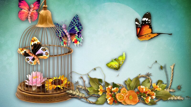 Butterflies in a Birdcage