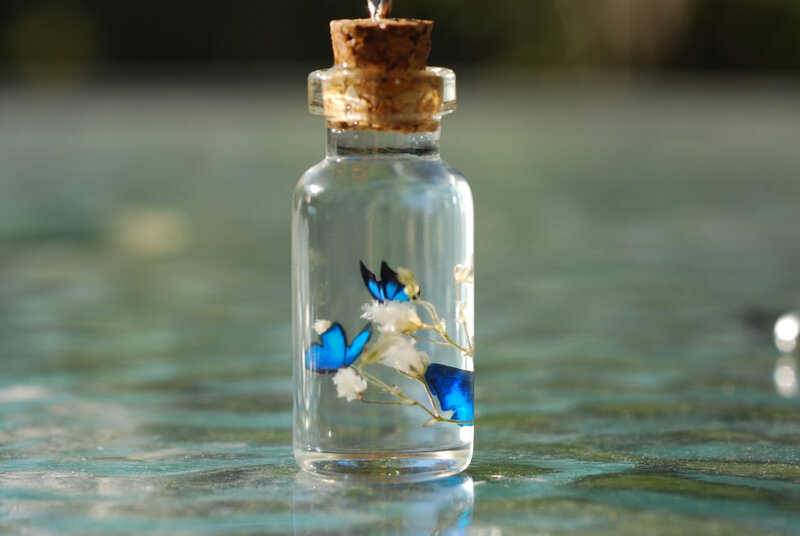 Butterflies in a Bottle