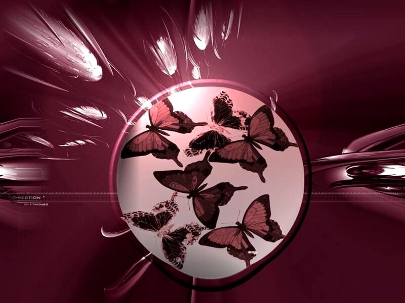 Butterflies in a Circle
