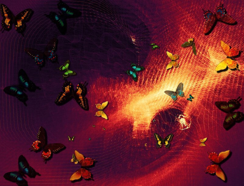 butterflies in a colorful vortex