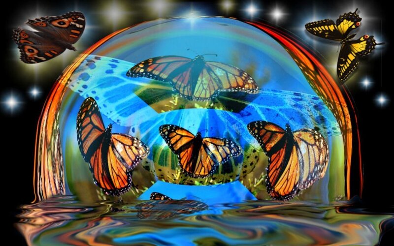 butterflies in a crystal ball