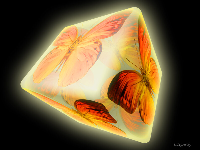 Butterflies in a Cube