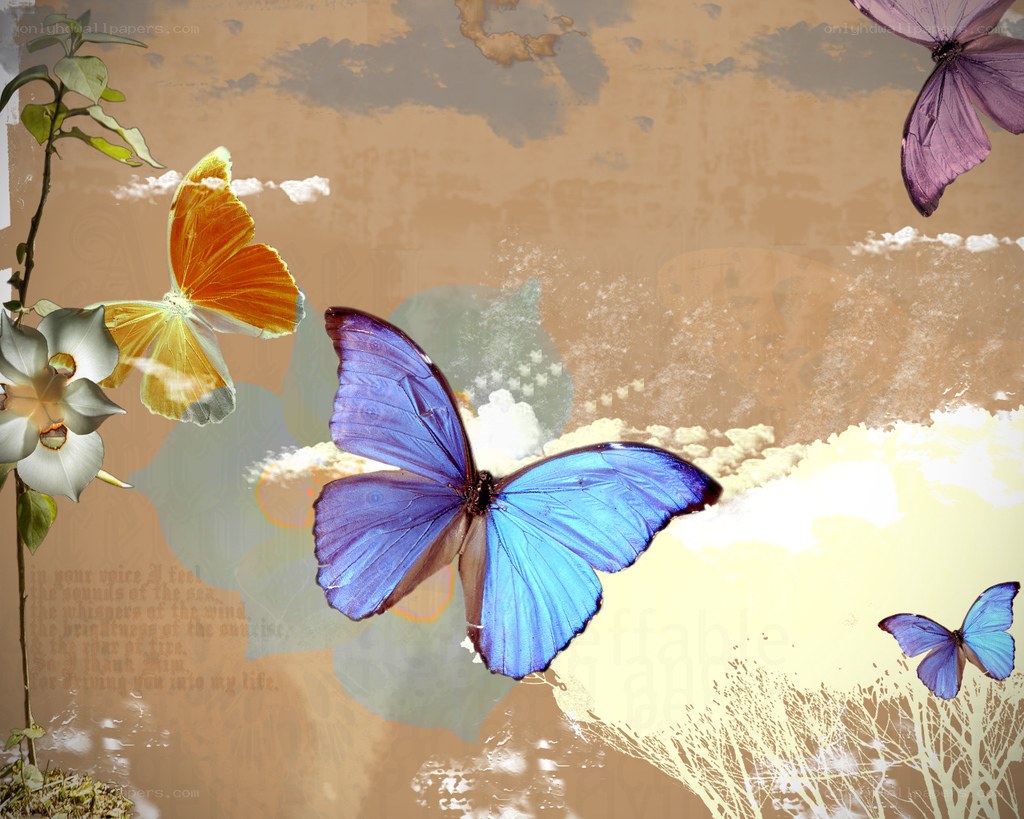 butterflies in a dreamy collage