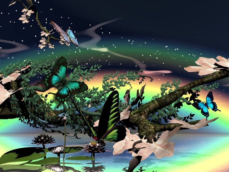 butterflies in a dreamy forest