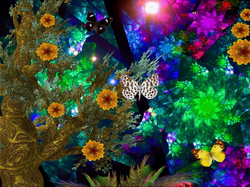 Butterflies in a Fantasy Forest