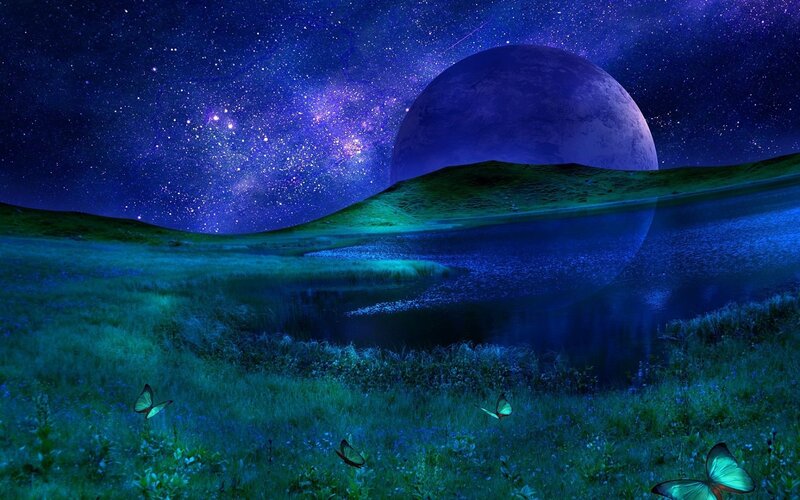 Butterflies in a Field — Blue, Serene, Night