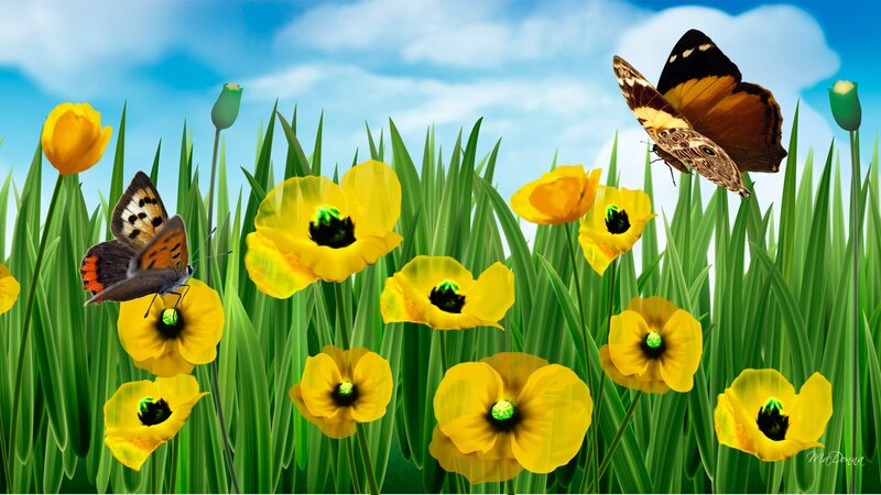 Butterflies in a Field — Green, Serene