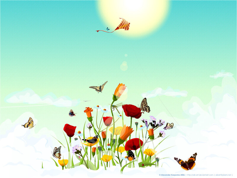 butterflies in a flower field