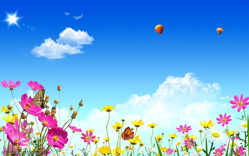 Butterflies in a Flower Field — Blue, Serene