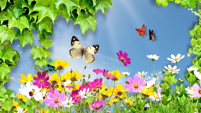 Butterflies in a Flower Field — Green