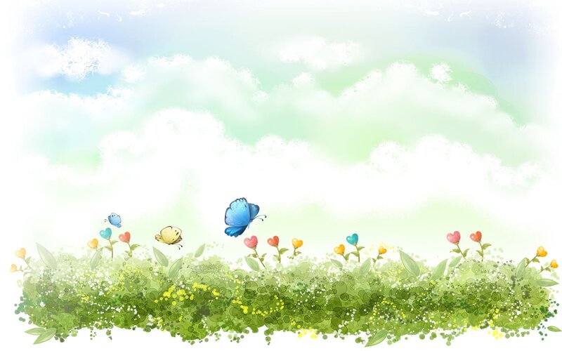butterflies in a flower field
