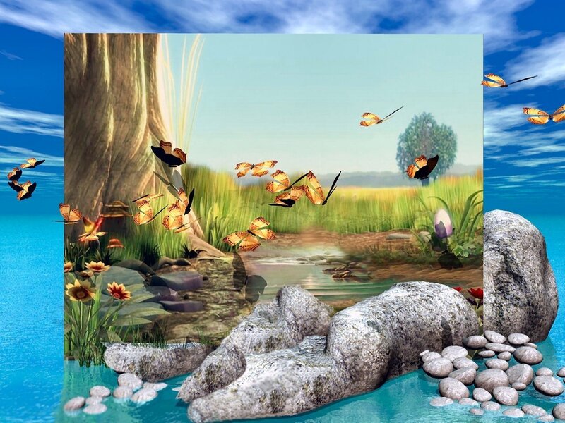 butterflies in a forest scene