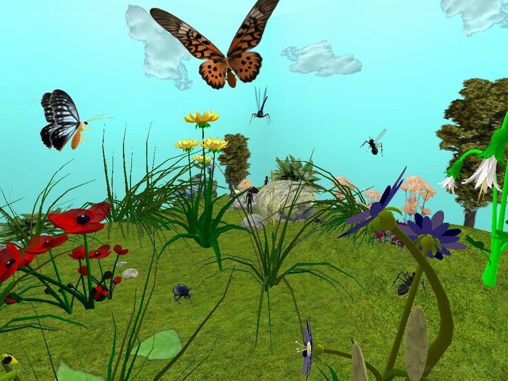 butterflies in a garden