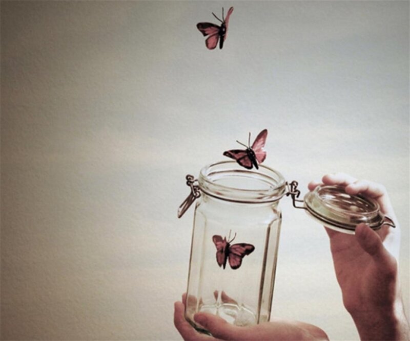 Butterflies in a Jar — White, Calm
