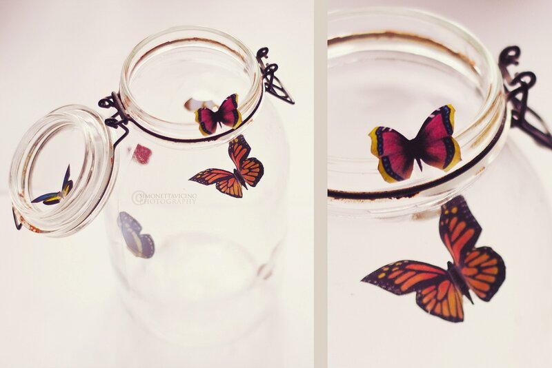 Butterflies in a Jar — White
