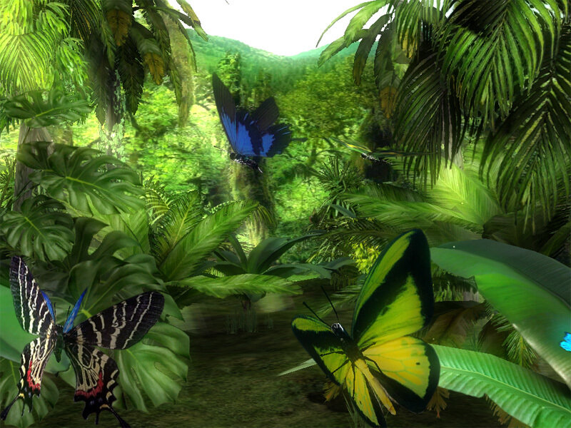 butterflies in a lush jungle