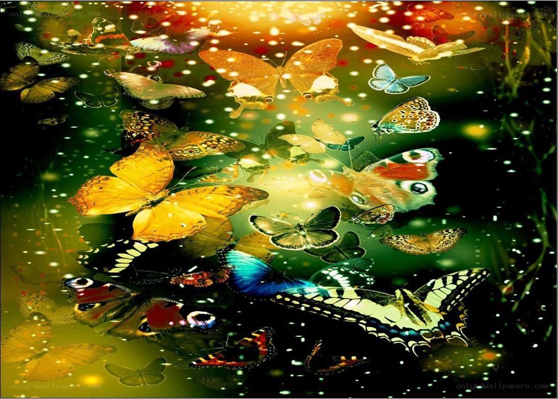 butterflies in a magical forest