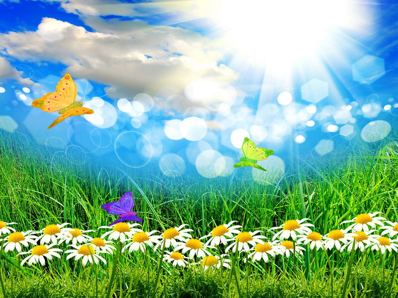 Butterflies in a Meadow — Green, Serene, Afternoon, Digital Art, Daisies, Grass