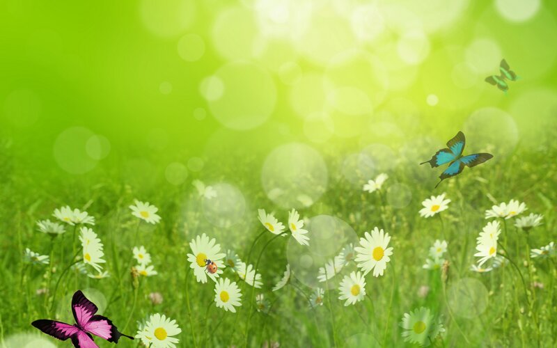 Butterflies in a Meadow — Green, Serene, Afternoon, Digital Art, Daisies