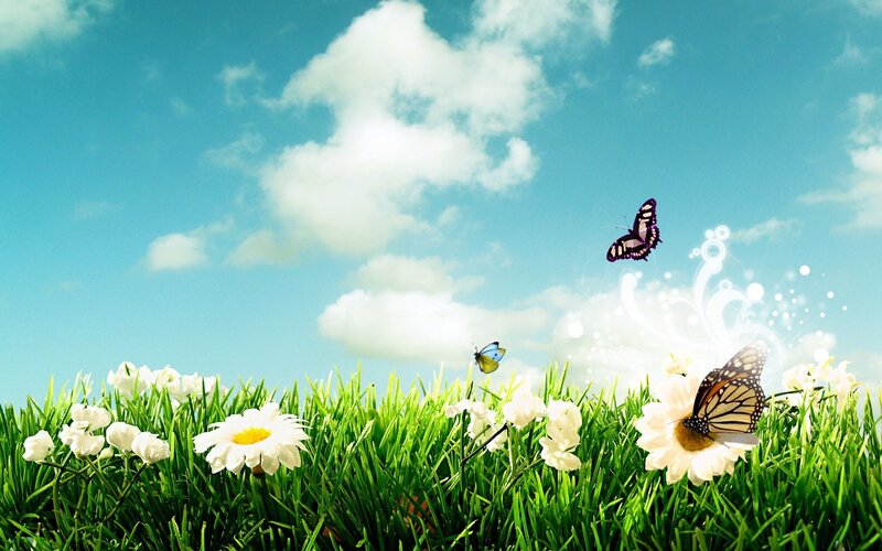 Butterflies in a Meadow — Green, Serene, Afternoon, Digital Art, Flowers, Grass