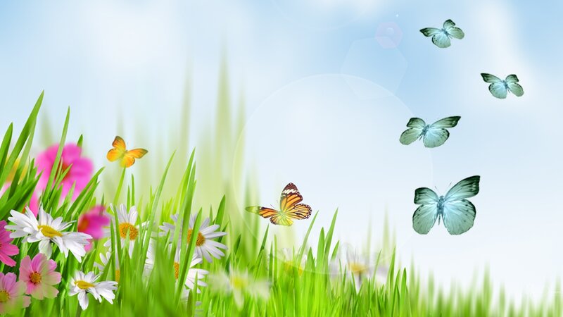 Butterflies in a Meadow — Green, Serene, Spring, Digital Art, Flowers, Grass