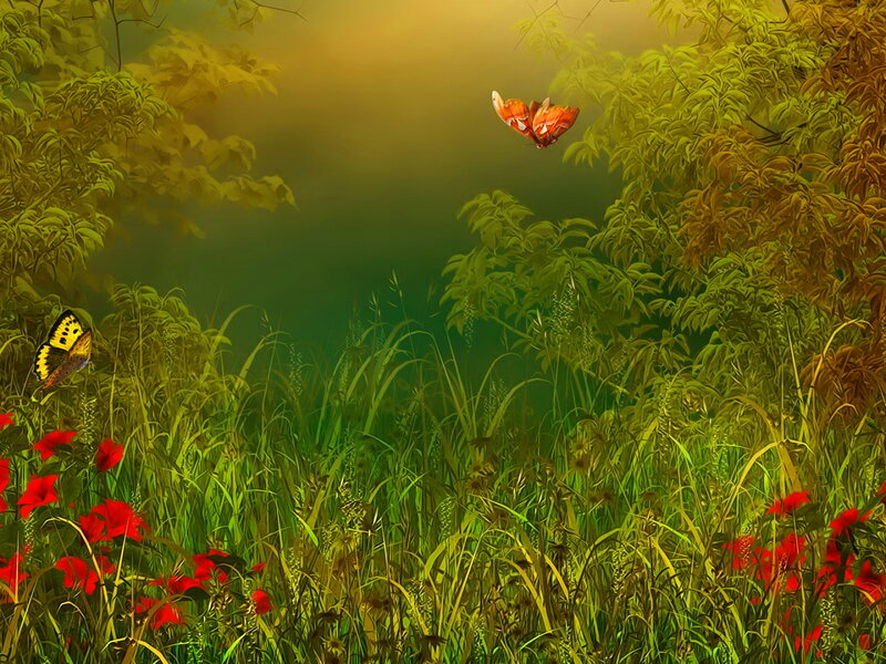 Butterflies in a Meadow — Green, Serene