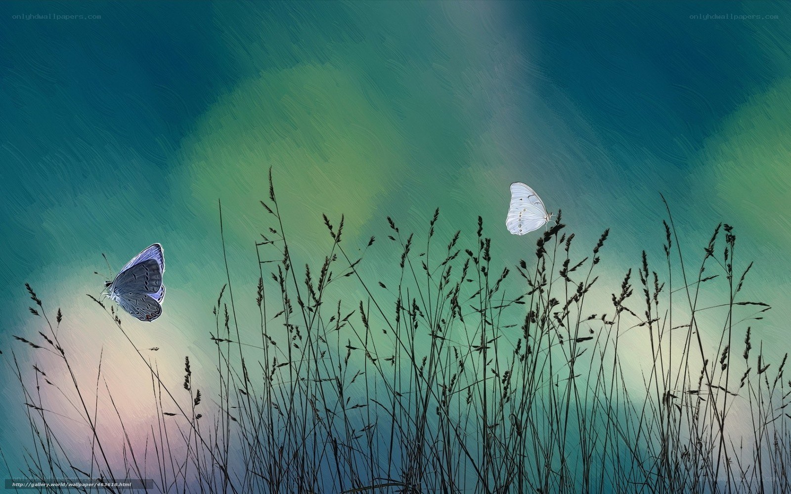 Butterflies in a meadow