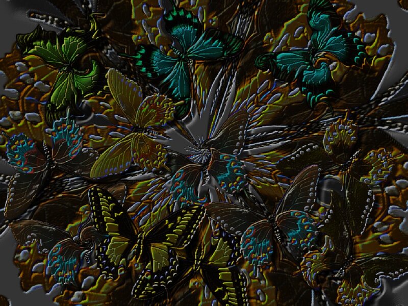 Butterflies in a Pattern