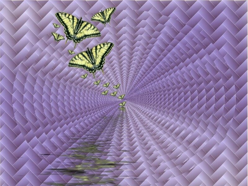 butterflies in a purple tunnel