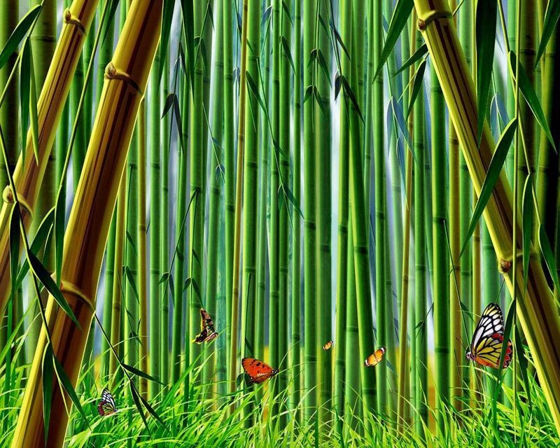 Butterflies in Bamboo Forest — Green, Serene