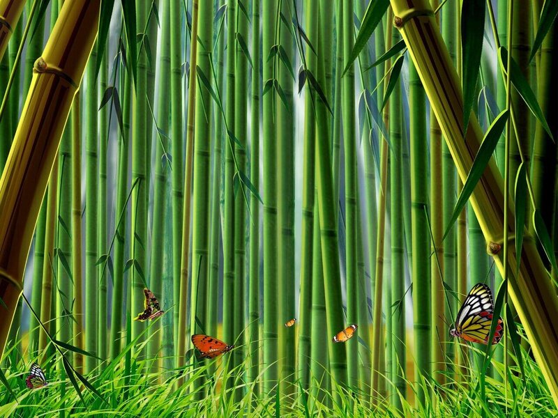 Butterflies in Bamboo Forest — Green