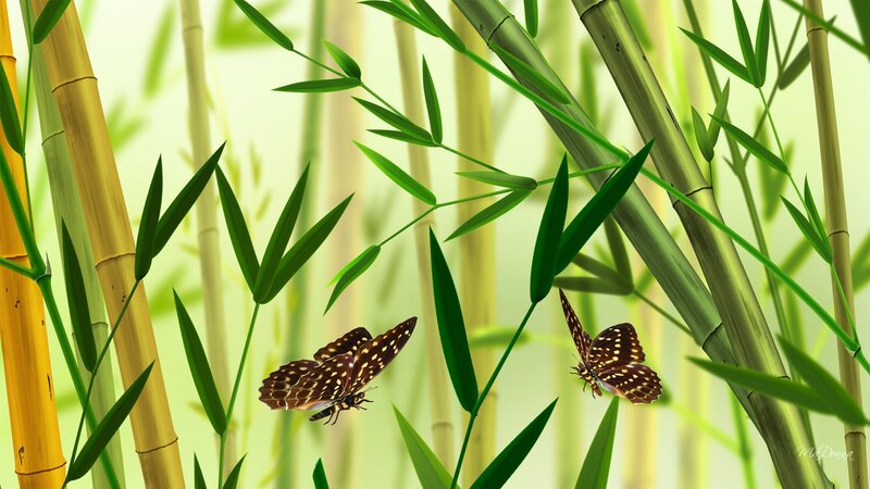 Butterflies in Bamboo Grove