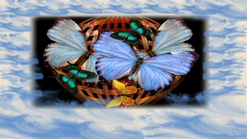 Butterflies in Basket