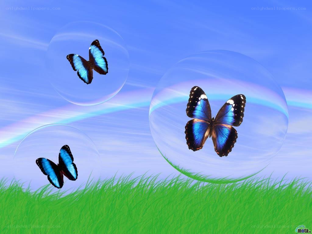 butterflies in bubbles