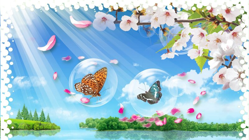 Butterflies in Bubbles — Blue, Serene