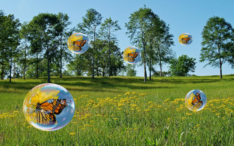 Butterflies in Bubbles — Green