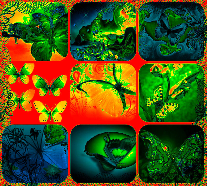Butterflies in Collage