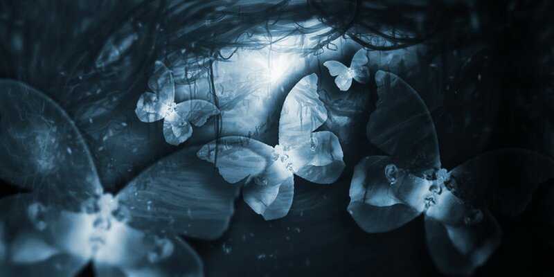 Butterflies in Dark Space