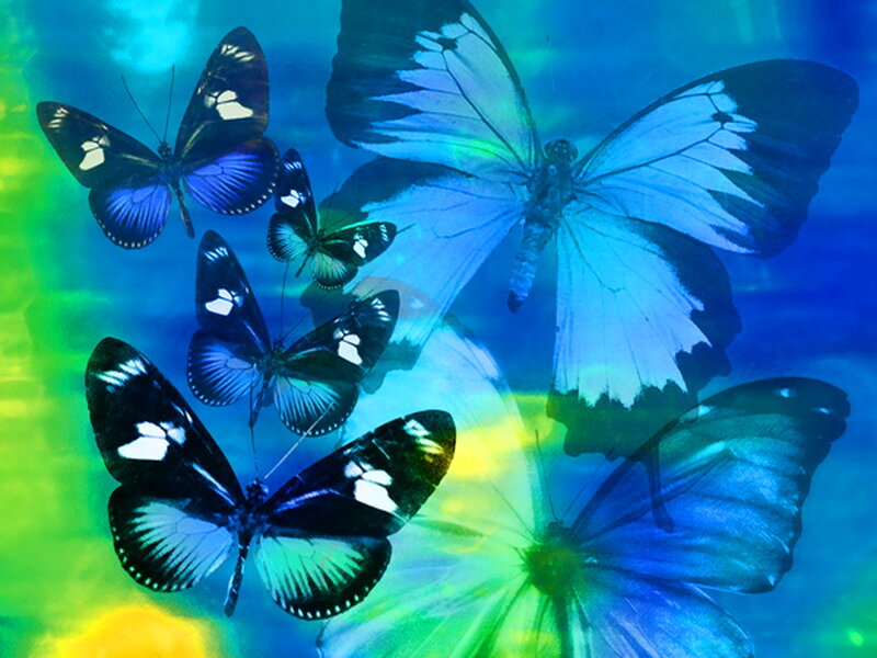 Butterflies in Flight — Blue, Vibrant