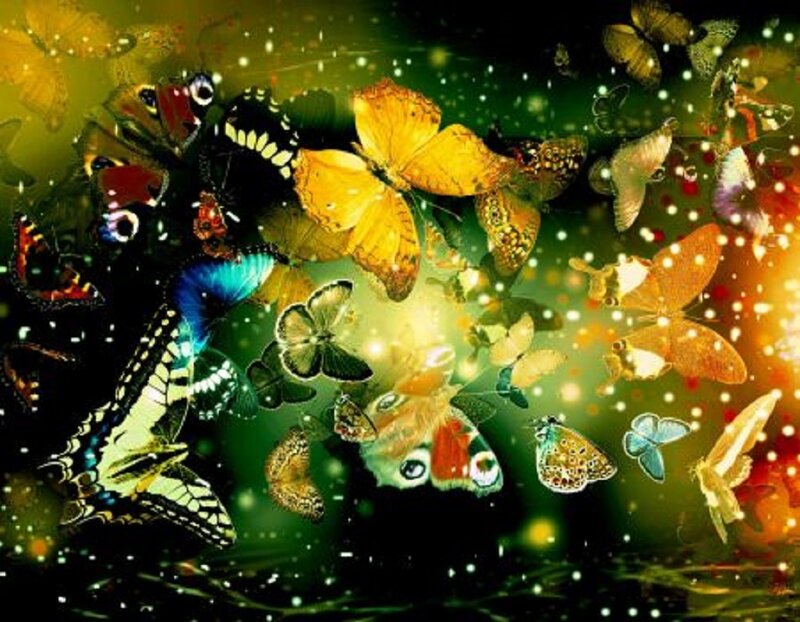 Butterflies in Flight — Green, Magical, Night