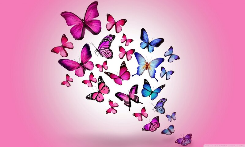 Butterflies in Flight — Pink, Serene
