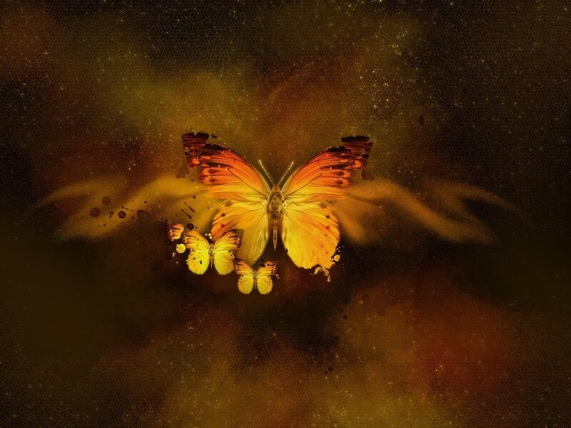 Butterflies in Flight — Yellow