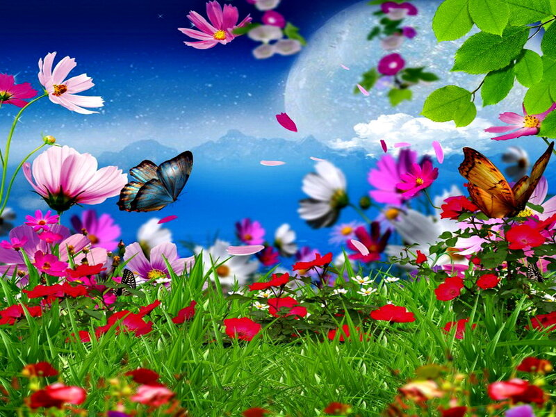 Butterflies in Flower Field