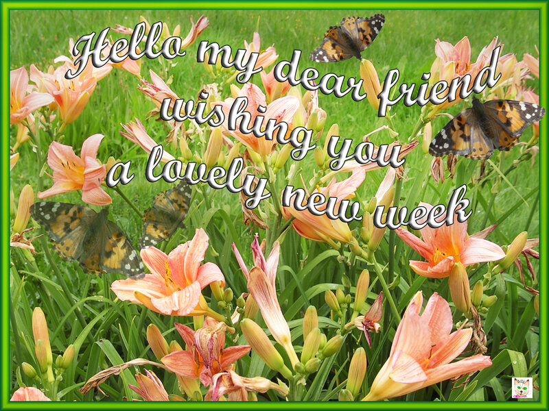 Butterflies in Flower Garden — Green
